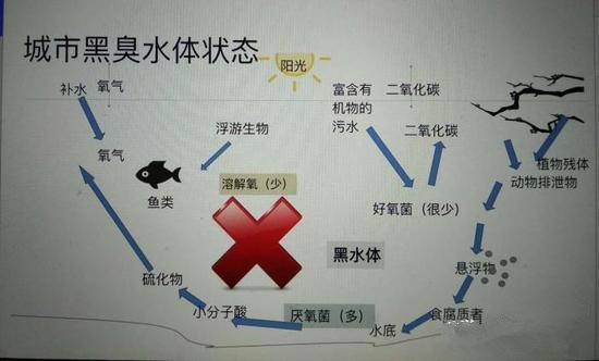 江蘇億元投資治污新技術(shù) 石墨烯能否治理黑臭水體？