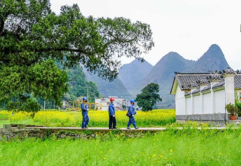 平塘供電局：“網(wǎng)格化”服務(wù)，護(hù)航“菜籃子”