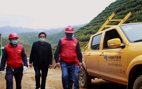 平塘供電局：“加減法”同構(gòu)服務(wù)，護(hù)航“貴州春茶第一壺”