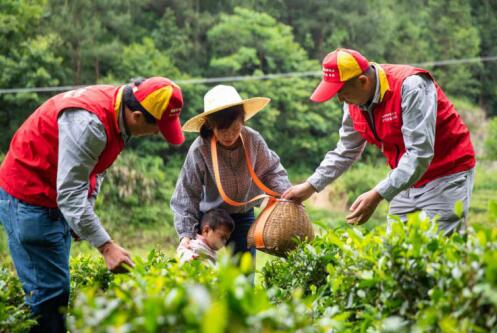 國家電網(wǎng)公司定點幫扶安徽金寨縣高質量脫貧