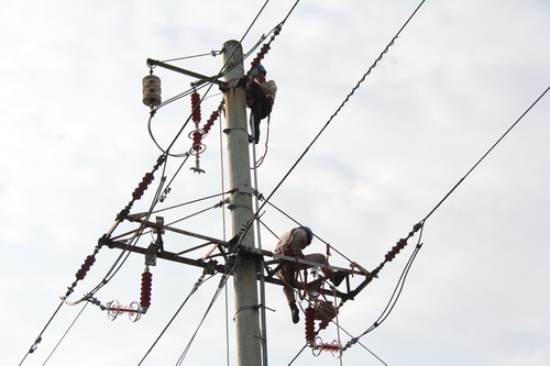 國網(wǎng)霞浦供電公司加裝線路避雷器，保障兩節(jié)期間電網(wǎng)可靠性