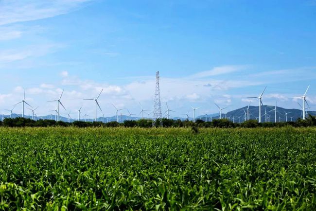 收購墨西哥818MW光伏電站，國家電投境外光伏電站裝機(jī)超6GW