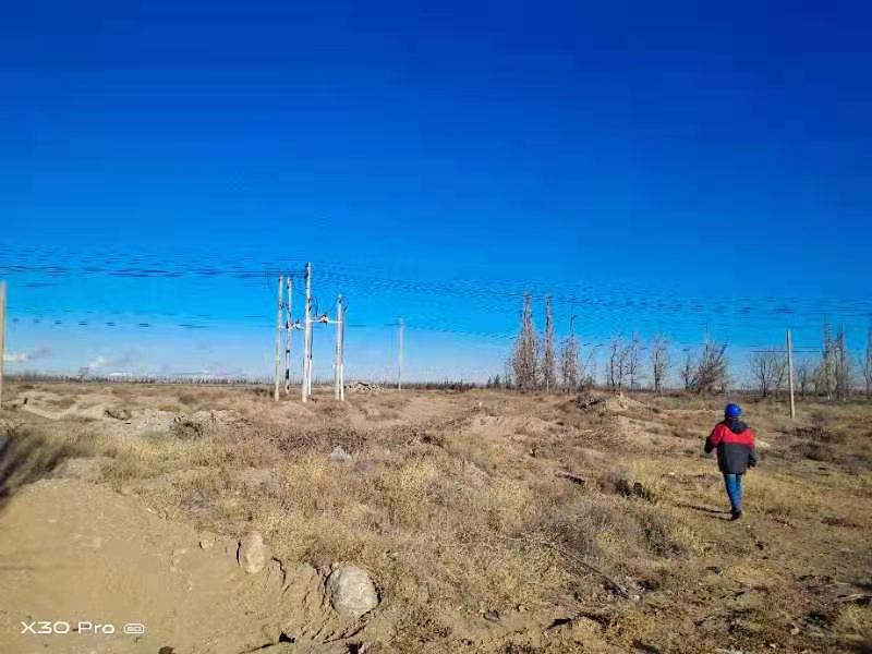 烏海電業(yè)局農電處千里山農電所：加強巡線，確保冬季電網安全