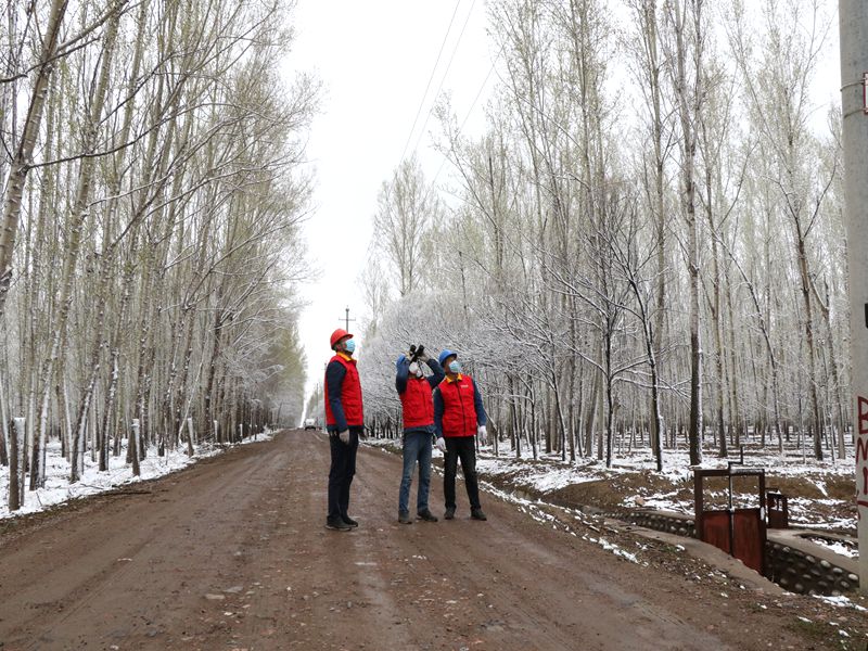 國(guó)網(wǎng)伊犁伊河供電公司四月飛雪，電力員工巡視線路保供電