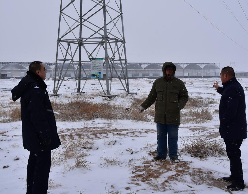 二連浩特供電公司：開展客戶側(cè)安全檢查，確?？诎犊蛻粝楹兔髁吝^春節(jié)