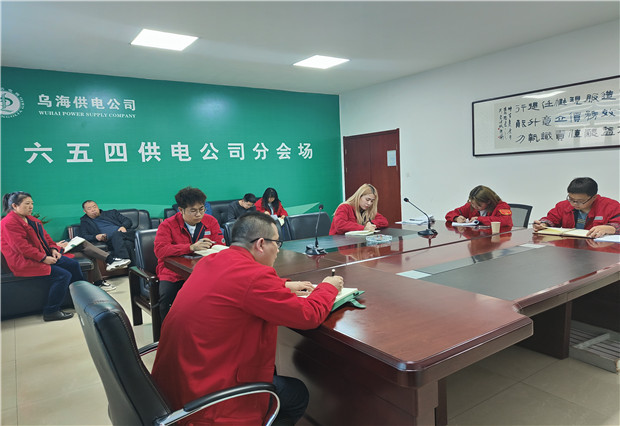 六五四供電公司：乘標(biāo)準(zhǔn)化建設(shè)之風(fēng)，保客戶側(cè)規(guī)范用電