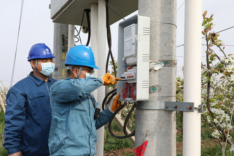 國網(wǎng)諸城市供電公司電力足，千畝梨園花正濃