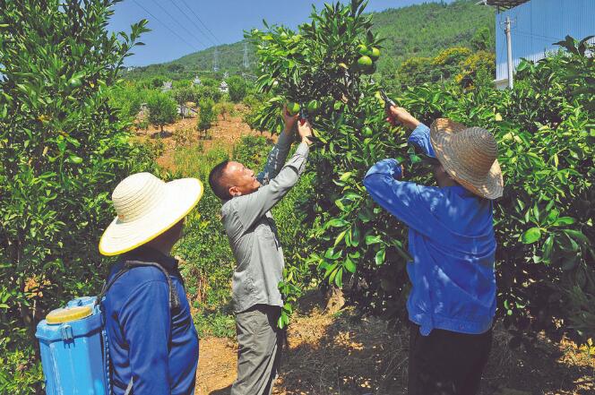 王國洲：把村事當家事，把村民當親人