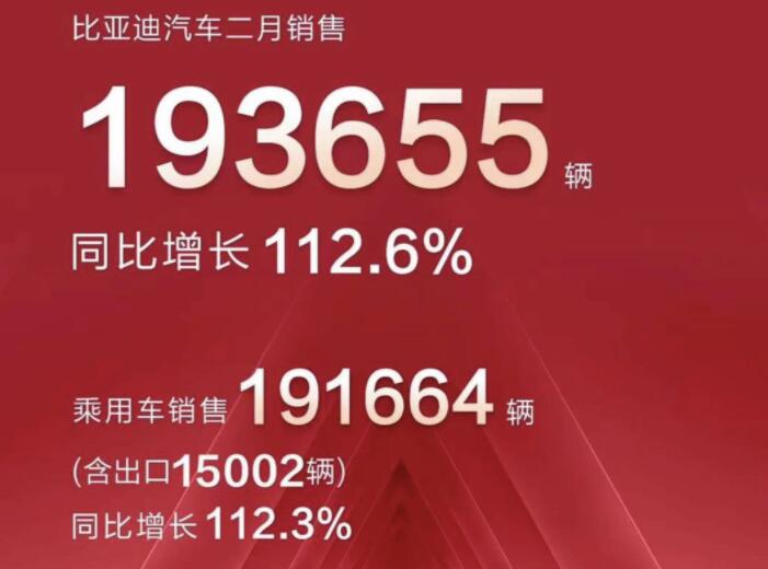 2月新能源車企成績(jī)單出爐，比亞迪一騎絕塵
