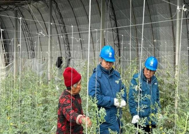 山東惠民供電公司：走訪種植大棚，優(yōu)化農(nóng)業(yè)營商環(huán)境