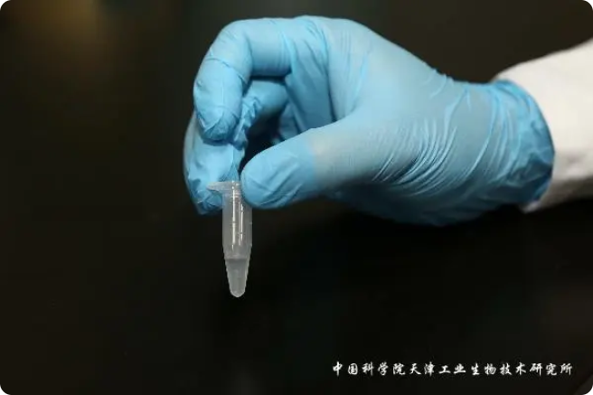 二氧化碳“變身”糖，中國(guó)科學(xué)家實(shí)現(xiàn)重大突破!