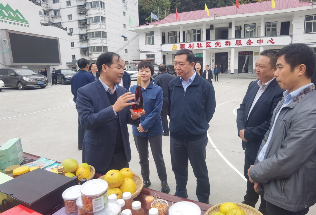 中核集團總經(jīng)理、黨組副書記顧軍赴陜西白河、旬陽調(diào)研鄉(xiāng)村振興工作
