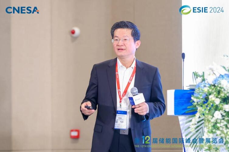 林澤波：儲能企業(yè)出海不是價格競爭，而是以定制優(yōu)質(zhì)產(chǎn)品和服務(wù)實(shí)現(xiàn)可持續(xù)發(fā)展