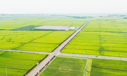 湖北工程公司中標虞城縣2024年高標準農(nóng)田建設(shè)