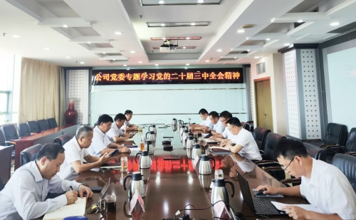 水電基礎(chǔ)局黨委召開傳達學(xué)習(xí)黨的二十屆三中全