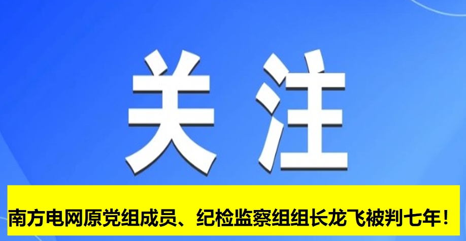 南方電網(wǎng)原黨組成員、紀(jì)檢監(jiān)察組組長龍飛被判